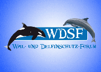Wal- und Delfinschutz-Forum (WDSF) Logo