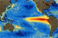 El Nino im Pazifik: Bäume erlauben 1.100-jährigen Rückblick. Bild: NOAA