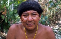 Davi Kopenawa, Yanomami-Sprecher und Schamane, hat sich gegen Napoleon Chagnons neues Buch 'Edle Wilde' ausgesprochen. Bild: Survival