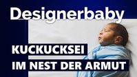 Bild: SS Video: "Designerbaby, Kuckucksei im Nest der Armut" (www.kla.tv/23100) / Eigenes Werk