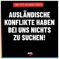 Bild: AfD Deutschland