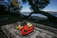 Aus den Tiefen des Ozeans kommen Algen, schwarzer Seehecht und Königskrabben. Bild: Turismo de Argentina Fotograf: Turismo de Argentina