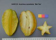 Sternfrucht: aufgeschnittene Früchte