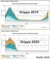 Die Grippe ist in 2020 an Corona "gestorben" oder....übergegangen