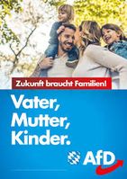 Ein AfD Wahlplakat (2019)