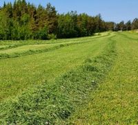 Bodennah gemähte Wiese nach Bauernart.