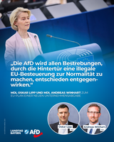 Bild: AfD Deutschland