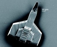 Drucken auf der Mikrometerskala: Die Schreibdauer für ein Miniaturraumschiff  reduziert sich ohne Qualitätsverlust auf weniger als eine Minute
Quelle: (Foto: Nanoscribe) (idw)