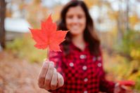 Das Blatt des Zuckerahorns mit seiner typischen Herbstfärbung. Bild: Québec Maple Syrup Producers (QMSP) Fotograf: Dion