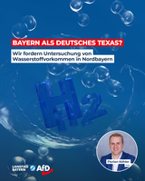 Bild: AfD Deutschland