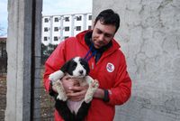 VIER PFOTEN hat bereits über 100.000 Streunerhunde in Rumänien eingefangen, kastriert, versorgt und im angestammten Revier freigelassen. Bild: (C) VIER PFOTEN