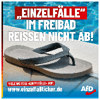 Bild: AfD Deutschland