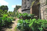 Andernach Selbstversorgung Bild: Stadtverwaltung Andernach/Maurer Fotograf: Bund deutscher Baumschulen (BdB) e.V.