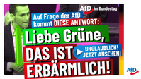 Bild: AfD Deutschland