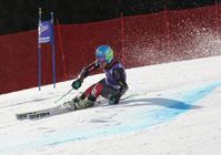 Ted Ligety Bild: DSV