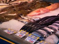 Speisefisch
