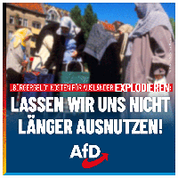 Bild: AfD Deutschland