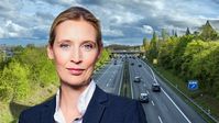 Dr. Alice Weidel (2021)