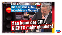 Bild: AfD Deutschland