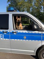 Diensthund Krabat Bild: Polizei