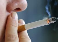 Zahl der Raucher steigt weltweit
Quelle: University of Melbourne (idw)