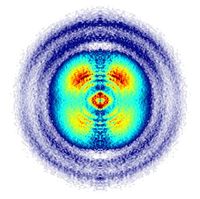 Aufbau zur Messung der Kontrolle einzelner Elektronen in Molekülen mit ultrakurzen Laserpulsen: die Wellenform der Laserpulse wird mittels zweier Glaskeile eingestellt. Die Laserpulse wechselwirken mit den Molekülen in einem Velocity-Map Imaging (VMI) Spektrometer, in dem die entstehende Verteilung von Ionen (hier C+ Ionen) nach dem Auseinanderbrechen des Moleküls auf einen Detektor (rechts) abgebildet wird. Das Bild auf dem Detektor zeigt eine oben-unten Asymmetrie entlang der senkrechten Polarisationsachse des Lasers. Die Orbitalsymmetrie der ionisierten Orbitale des CO wird in der Winkelverteilung anhand der 45° Keulen deutlich, die mittels der theoretischen Berechnungen vorhergesagt werden kann (schwarze Linie). Illustration: Christian Hackenberger/LMU