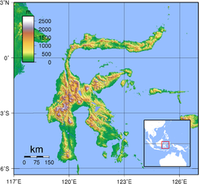 Topographische Karte Sulawesi Bild: de.wikipedia.org