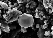 RMN mit einer Größe von etwa 600 Nanometern umgeben von präsolaren Siliziumkarbid-Kristallen, aufgenommen mit einem Rasterelektronenmikroskop. Foto: Thomas Berg