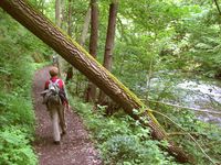 Klassisches Wanderterrain: die Täler und Höhen der Mittelgebirge