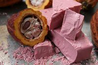 Bild: Barry Callebaut (idw)