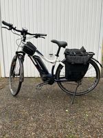 Haibike