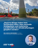 Bild: AfD Deutschland