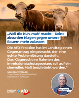 Bild: AfD Deutschland