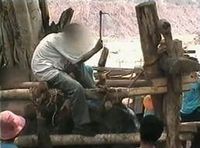 Der spitze Metallhaken wird immer wieder in die Haut des Elefantenbabys getrieben. Bild: PETA Deutschland