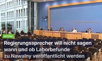 Regierungssprecher Seibert will nicht sagen wann und ob Laborbefunde zu Nawalny veröffentlicht werden.