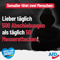 Bild: AfD Deutschland