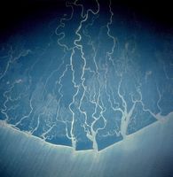 Nigerdelta (Space Shuttle-Bild)