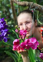 Gärtnerin Janet Klinger bereitet die Orchideenschau im Botanischen Garten vor.
Quelle: Foto: Swen Reichhold/Universität Leipzig (idw)