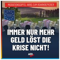 Bild: AfD Deutschland