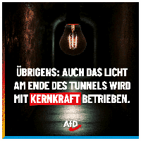 Bild: AfD Deutschland