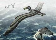 Künstlerische Rekonstruktion des riesigen "Pseudozahn-Vogels". Copyright: Ludger Bollen, "Der Flug des Archaeopteryx", Quelle+Meyer Vlg.