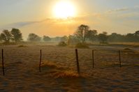 Sonnenaufgang auf einer Farm in Namibia (2014)