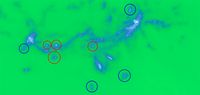Die Abbildung zeigt einen kleinen Ausschnitt der Illustris-Simulation: Gezeiten-Zwerggalaxien (rot) enthalten im Gegensatz zu primordialen Zwerggalaxien (blau) keine Dunkle Materie.
Quelle: (c) Illustris-1-Simulation ( (idw)