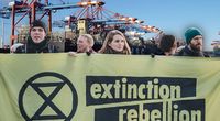 Hintergrund: Pixabay; Symbolbild Extinction Rebellion: Extinction Rebellion Sverige / Jana Eriksson, Flickr, CC BY 2.0; Komposition: Wochenblick