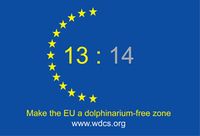WDCS Report enthüllt: Delfinhaltung mit EU-Gesetzgebung nicht vereinbar