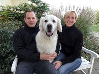 Golden Retriever Felix kann nicht nur "intelligent" handeln er hat auch eine Art 7. Sinn und hat Unglaubliches geleistet: er rettete seinem Herrchen Thomas Schipek das Leben. Bild: ZDF und Carsten Binsack