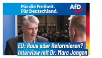 Bild: AfD Deutschland