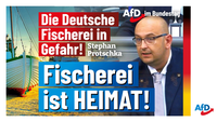 Bild: AfD Deutschland