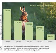 Bild: Wildtierschutz Deutschland e.V. Fotograf: Wildtierschutz Deutschland e.V.