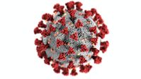 Corona Virus